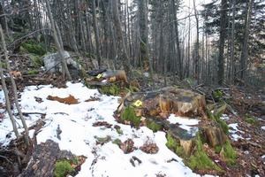 Slika vijesti/2016/Risnjak (1).JPG